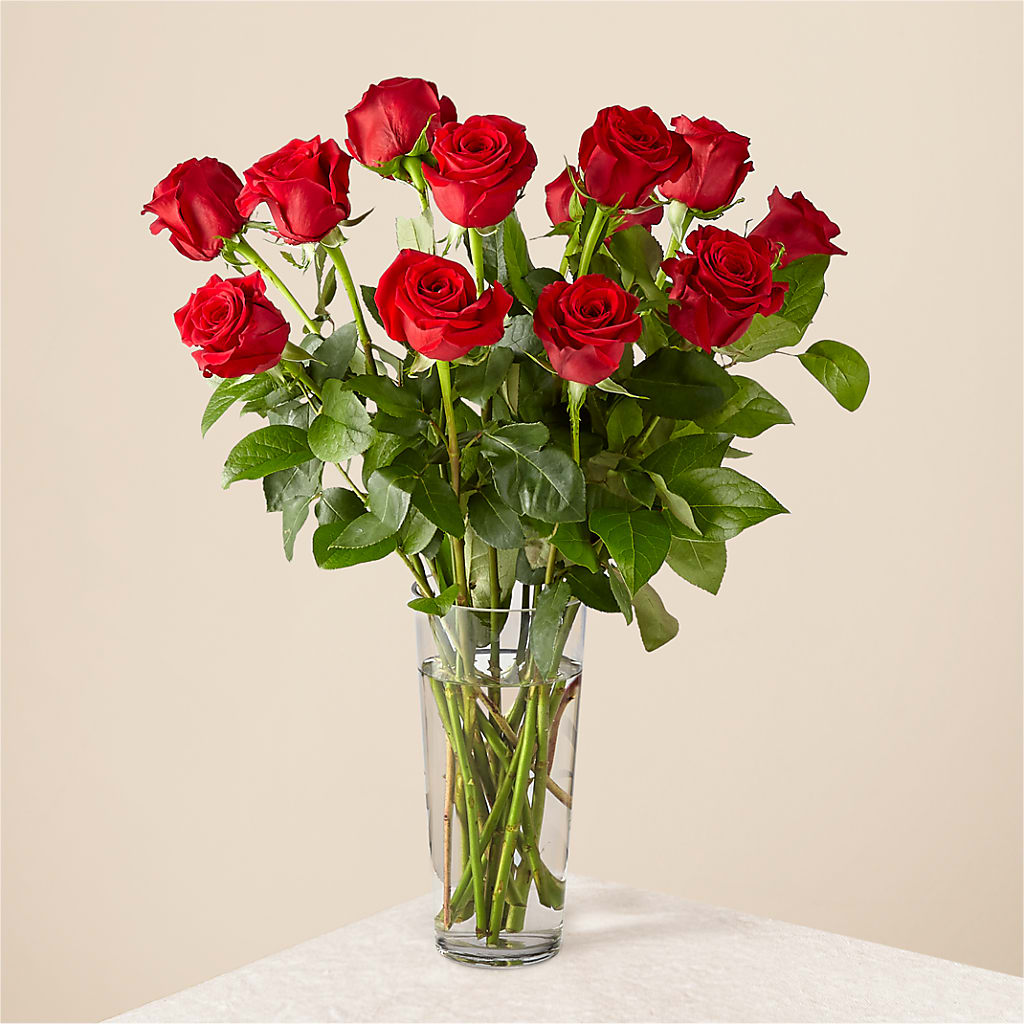 Long Stem Red Rose Bouquet – WATSON'S FLOWERS AND GIFTS, West Helena AR