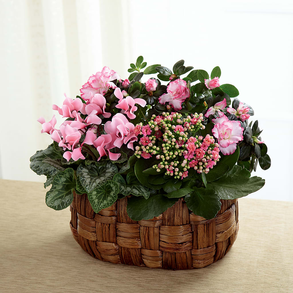 Pink Assortment – WATSON'S FLOWERS AND GIFTS, West Helena AR