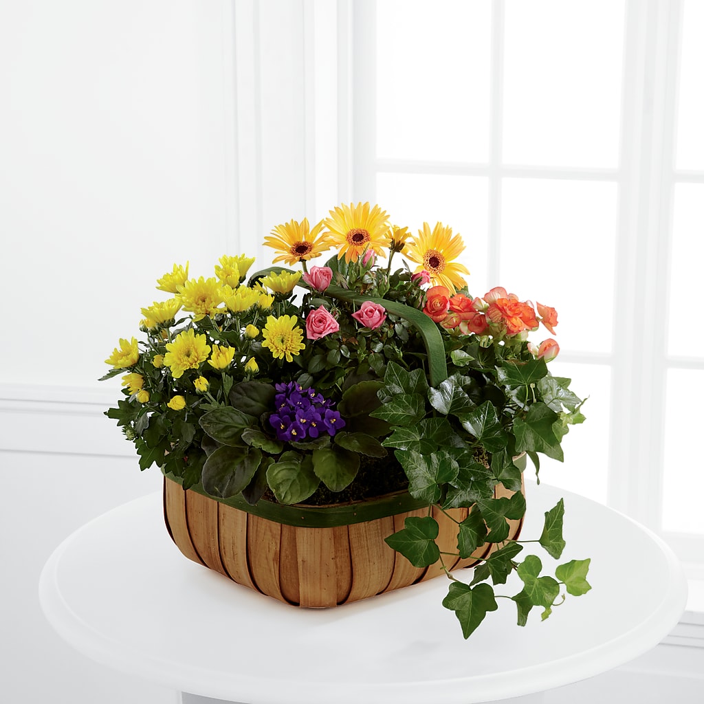 Gentle Blossoms Basket – WATSON'S FLOWERS AND GIFTS, West Helena AR