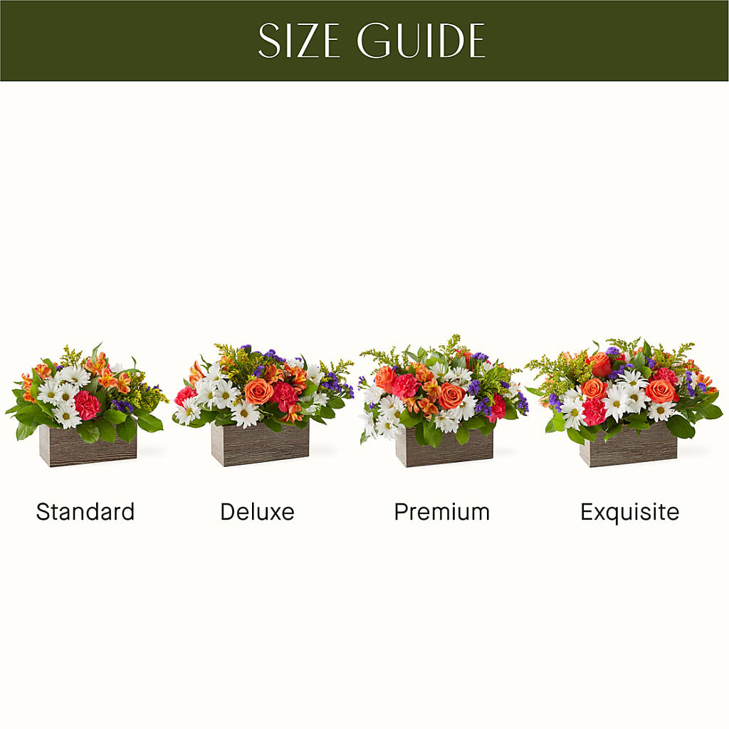 Oopsie Daisy Box Bouquet – WATSON'S FLOWERS AND GIFTS, West Helena AR