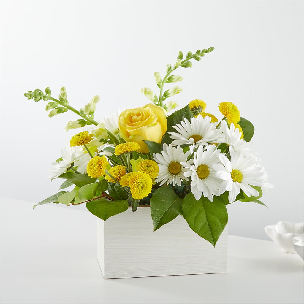 Sun Salutation Box Bouquet – WATSON'S FLOWERS AND GIFTS, West Helena AR