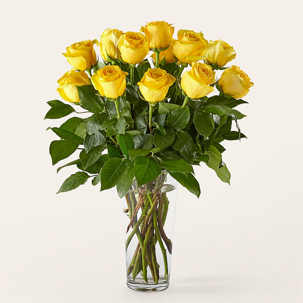 Long Stem Yellow Rose Bouquet – WATSON'S FLOWERS AND GIFTS, West Helena AR