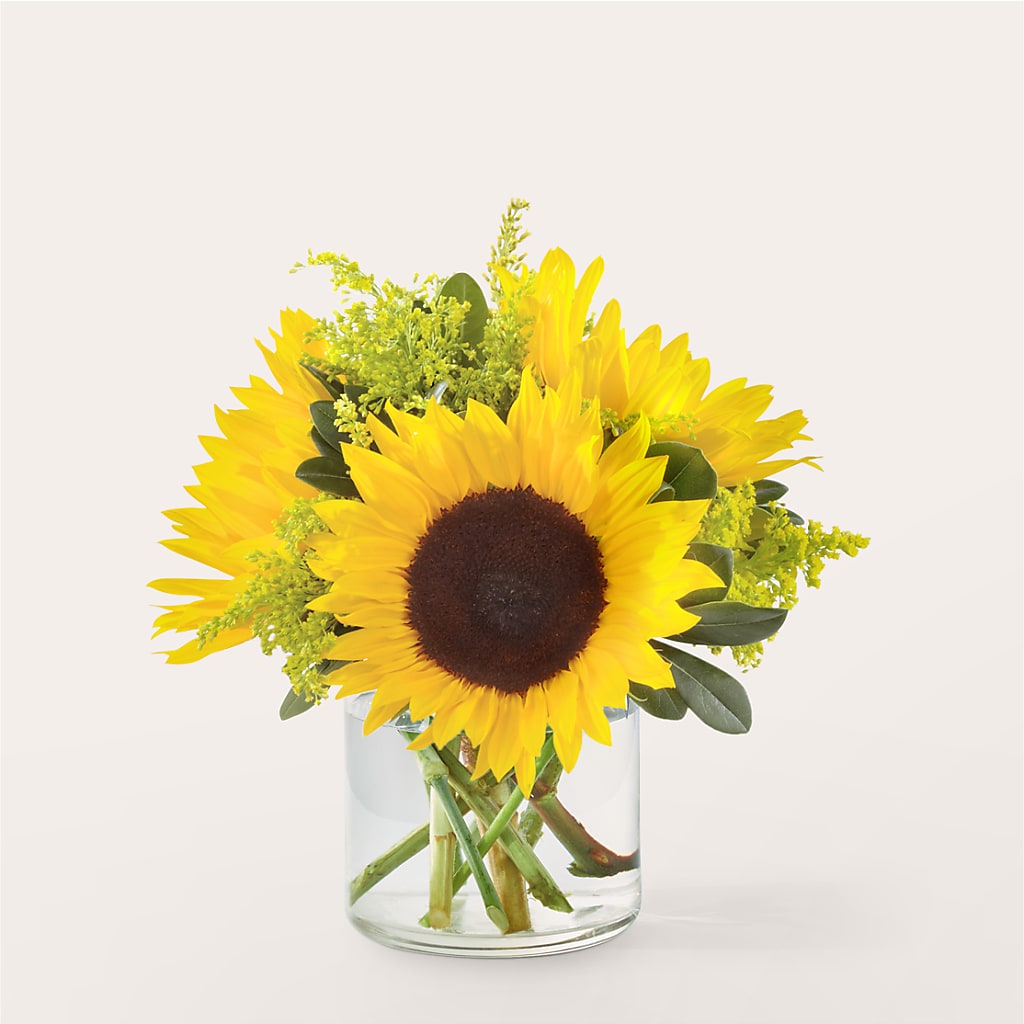 Beaming Sunflower Bouquet – WATSON'S FLOWERS AND GIFTS, West Helena AR