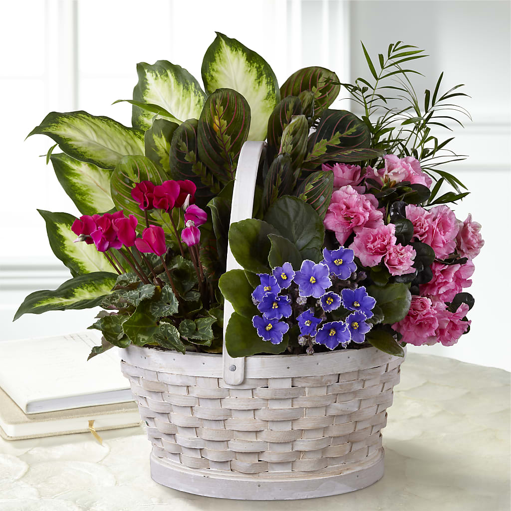 Peaceful Garden Planter – WATSON'S FLOWERS AND GIFTS, West Helena AR