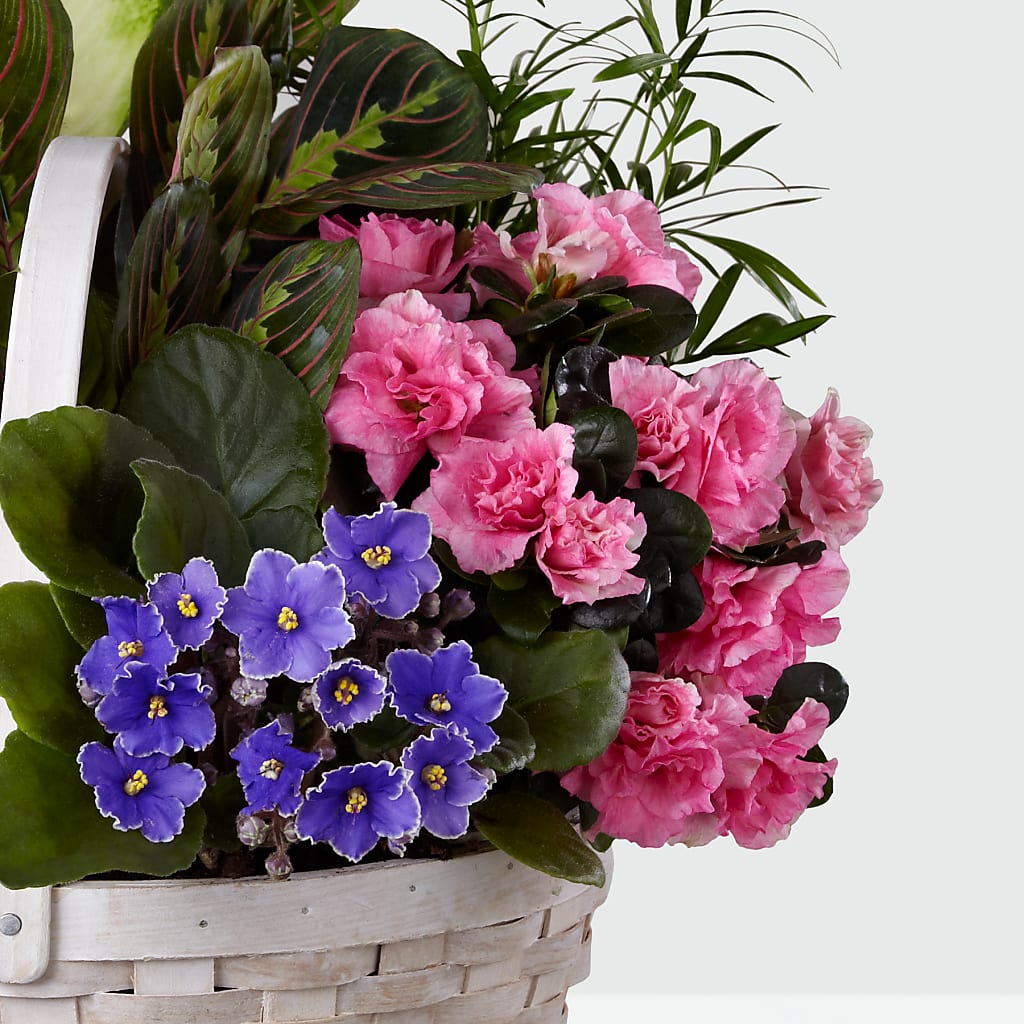 Peaceful Garden Planter – WATSON'S FLOWERS AND GIFTS, West Helena AR