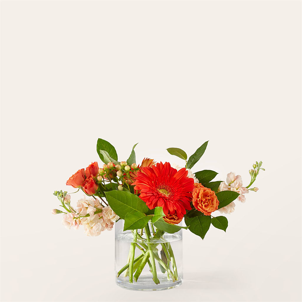 Paloma Please Bouquet – WATSON'S FLOWERS AND GIFTS, West Helena AR