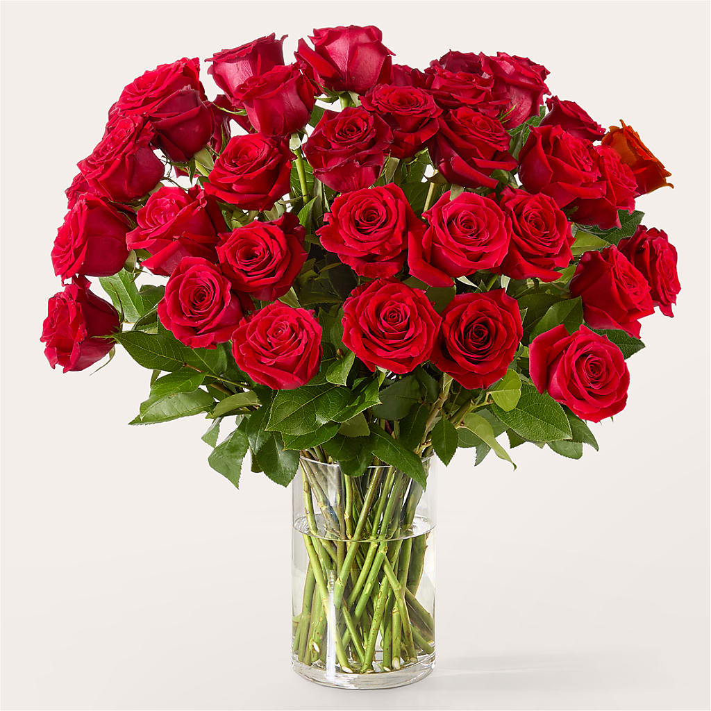 The One Red Rose Bouquet – WATSON'S FLOWERS AND GIFTS, West Helena AR