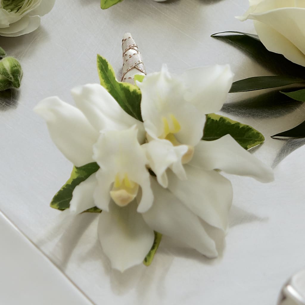 White Mini Cymbidium Boutonniere – WATSON'S FLOWERS AND GIFTS, West Helena AR