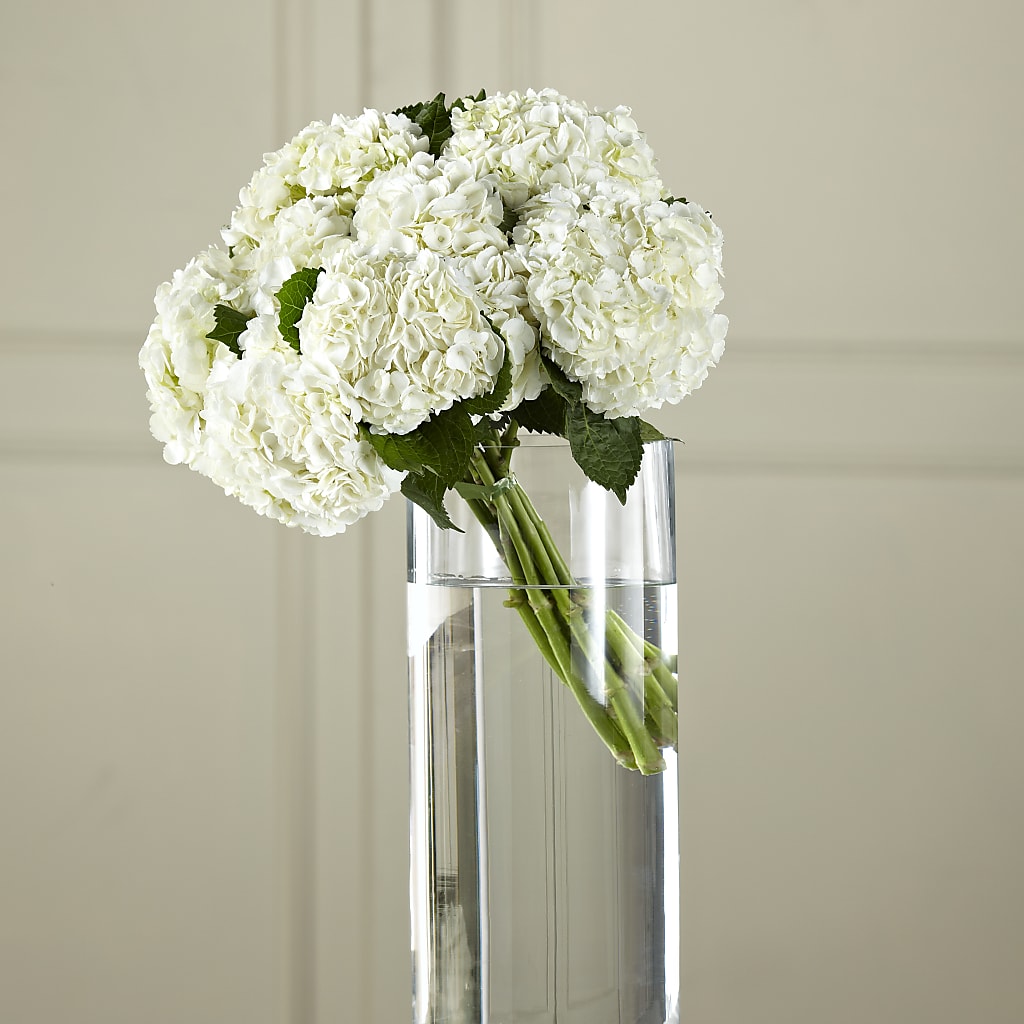 White Hydrangea Hand-Tied Bouquet – WATSON'S FLOWERS AND GIFTS, West Helena AR