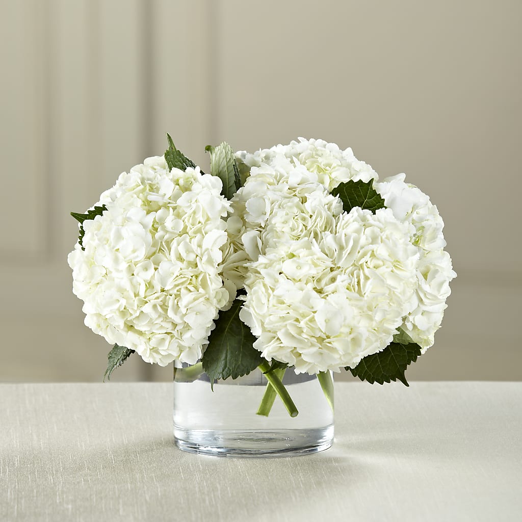 White Hydrangea Bouquet – WATSON'S FLOWERS AND GIFTS, West Helena AR