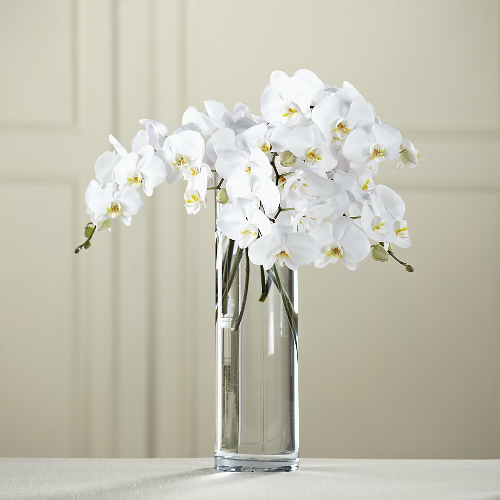 White Phalaenopsis Bouquet – WATSON'S FLOWERS AND GIFTS, West Helena AR