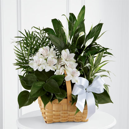 Peace & Serenity Dishgarden – WATSON'S FLOWERS AND GIFTS, West Helena AR