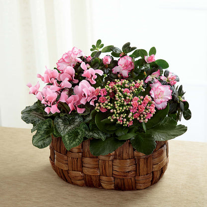Pink Assortment – WATSON'S FLOWERS AND GIFTS, West Helena AR