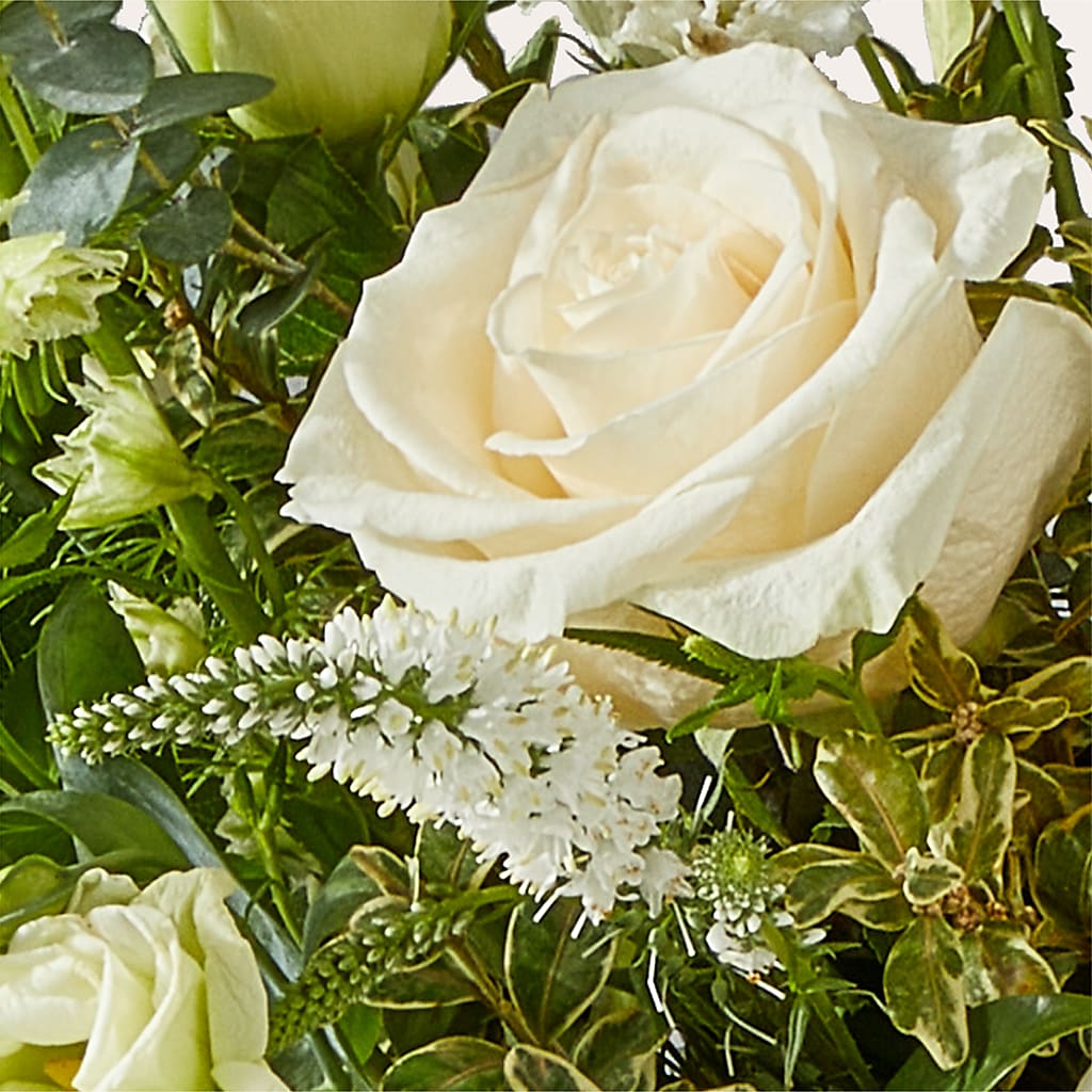 Cashmere Bouquet – WATSON'S FLOWERS AND GIFTS, West Helena AR