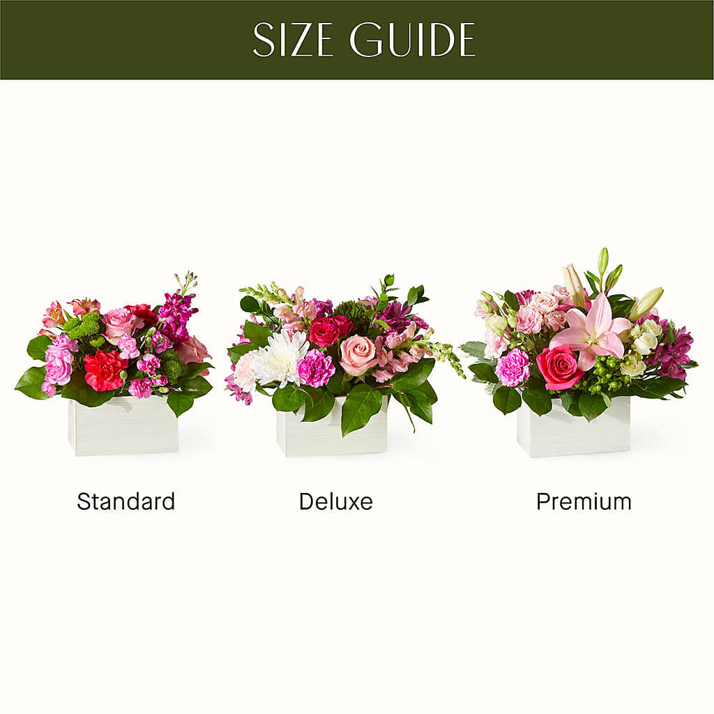 Sweetberry Box – A Florist Original – WATSON'S FLOWERS AND GIFTS, West Helena AR