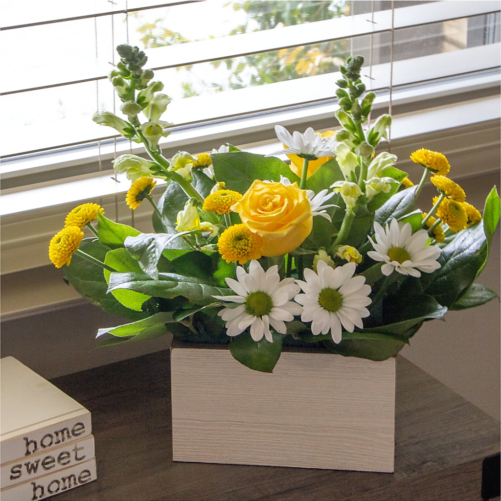 Sun Salutation Box Bouquet – WATSON'S FLOWERS AND GIFTS, West Helena AR