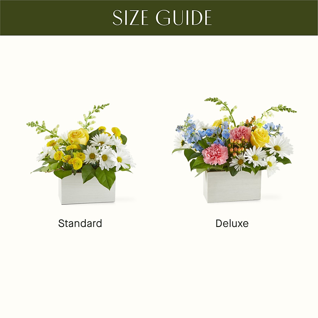 Sun Salutation Box Bouquet – WATSON'S FLOWERS AND GIFTS, West Helena AR