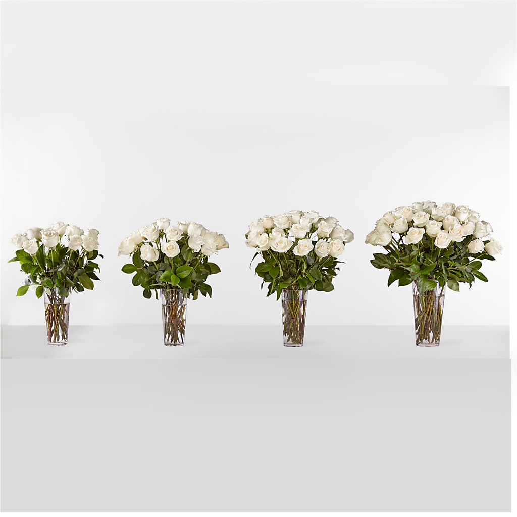 Long Stem White Rose Bouquet – WATSON'S FLOWERS AND GIFTS, West Helena AR