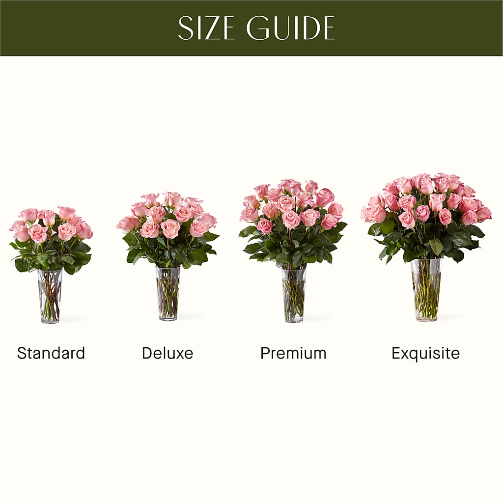 Long Stem Pink Rose Bouquet – WATSON'S FLOWERS AND GIFTS, West Helena AR
