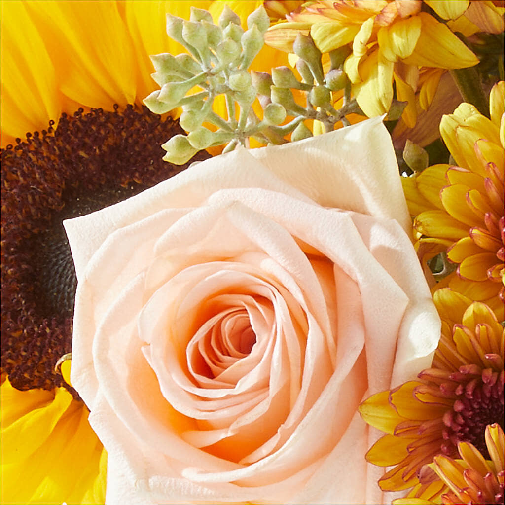 Pumpkin to Talk About Bouquet – WATSON'S FLOWERS AND GIFTS, West Helena AR