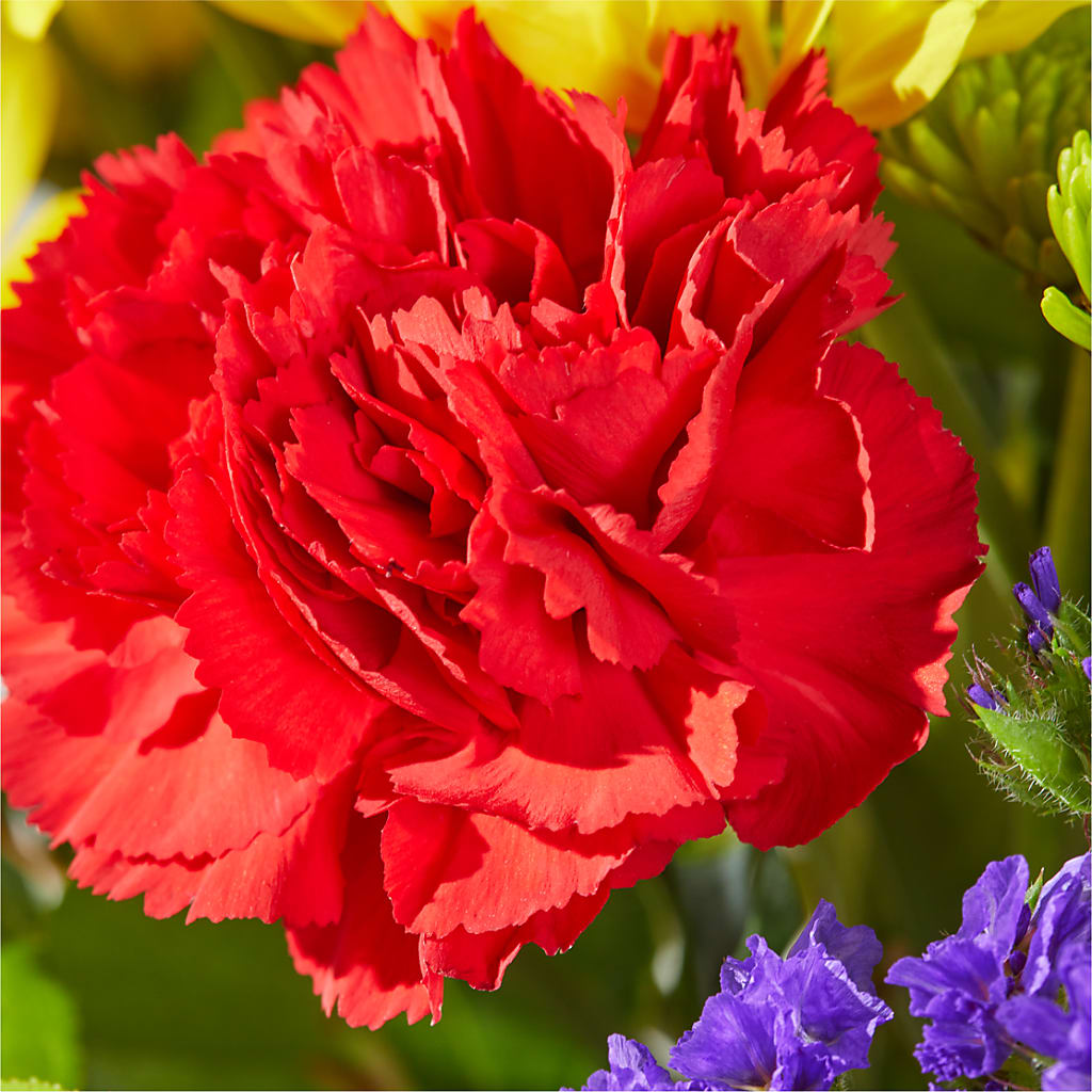 Brighter Days Bouquet – WATSON'S FLOWERS AND GIFTS, West Helena AR