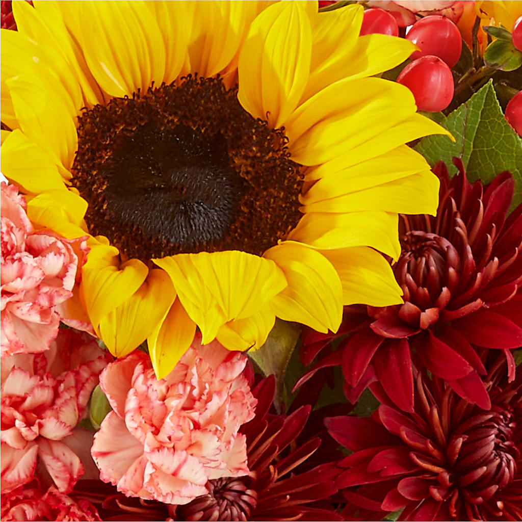 Fresh Cider Bouquet – WATSON'S FLOWERS AND GIFTS, West Helena AR