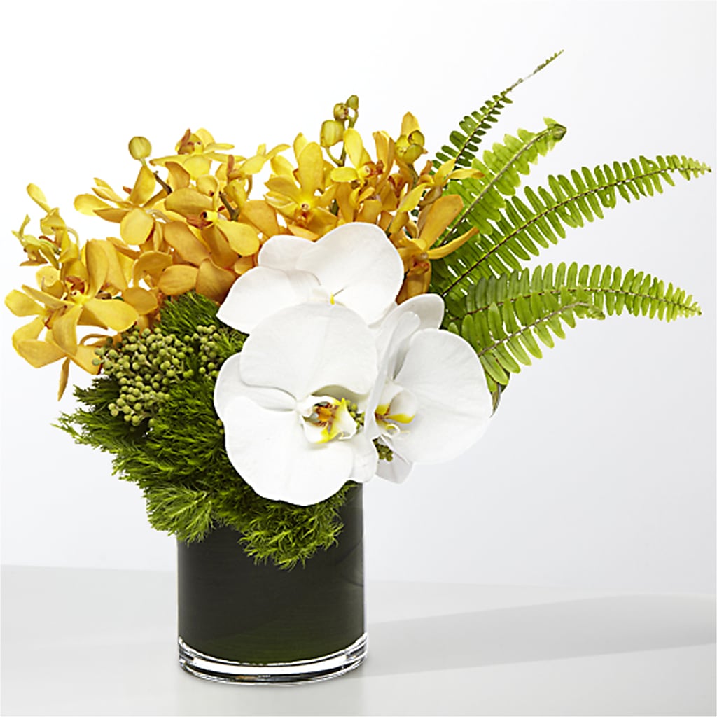The Tropics – WATSON'S FLOWERS AND GIFTS, West Helena AR