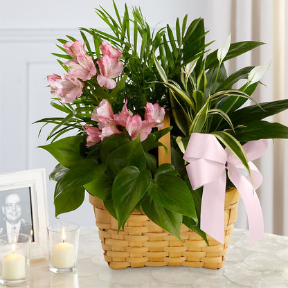 Living Spirit Dishgarden – WATSON'S FLOWERS AND GIFTS, West Helena AR