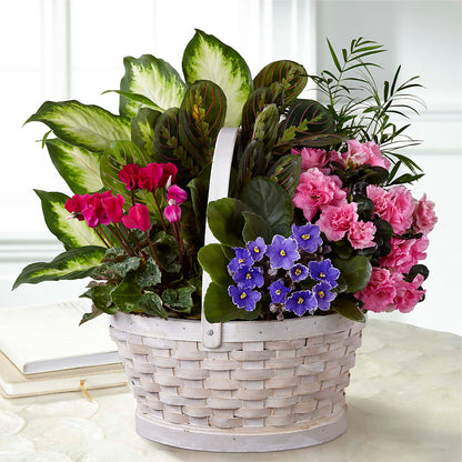Peaceful Garden Planter – WATSON'S FLOWERS AND GIFTS, West Helena AR