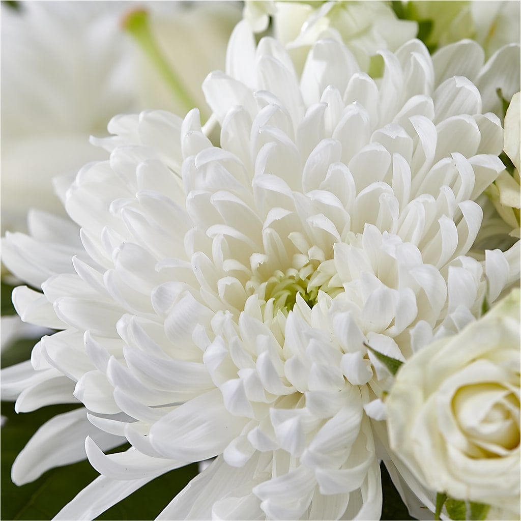 Classic Ivory – A Florist Original – WATSON'S FLOWERS AND GIFTS, West Helena AR