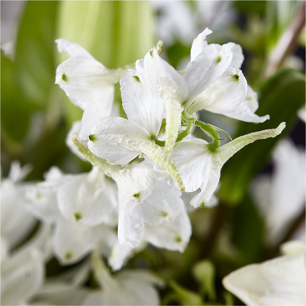 Classic Ivory – A Florist Original – WATSON'S FLOWERS AND GIFTS, West Helena AR