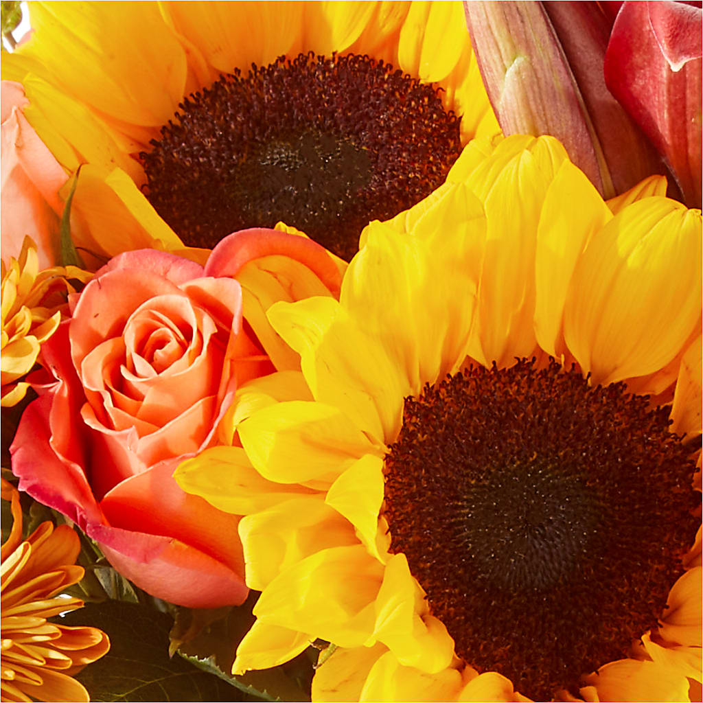 Acorn Lane Bouquet – WATSON'S FLOWERS AND GIFTS, West Helena AR