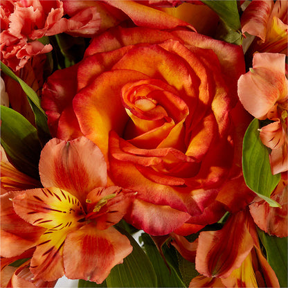 Apricot Glow Bouquet – WATSON'S FLOWERS AND GIFTS, West Helena AR