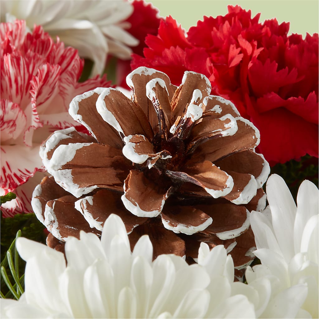 Candy Cane Lane Bouquet – WATSON'S FLOWERS AND GIFTS, West Helena AR
