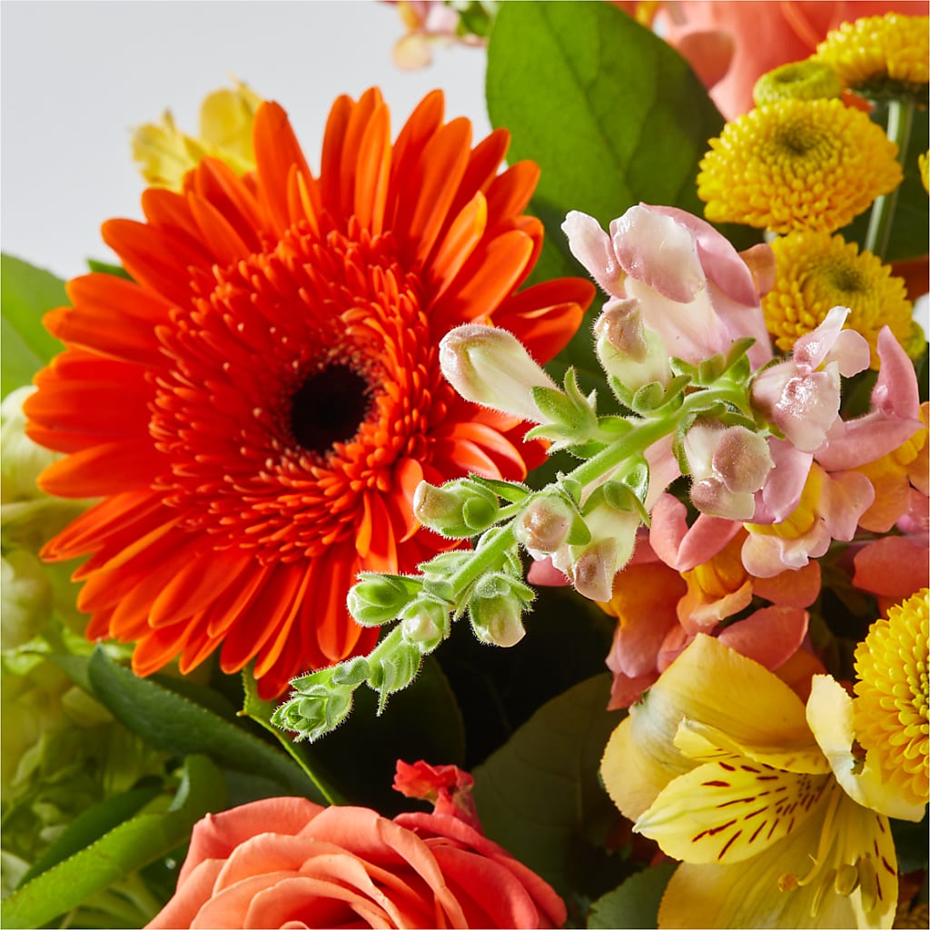 Autumn Sunshine Bouquet – WATSON'S FLOWERS AND GIFTS, West Helena AR