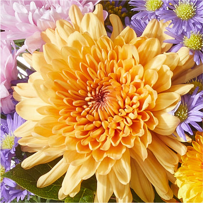 Countryside Bouquet – WATSON'S FLOWERS AND GIFTS, West Helena AR