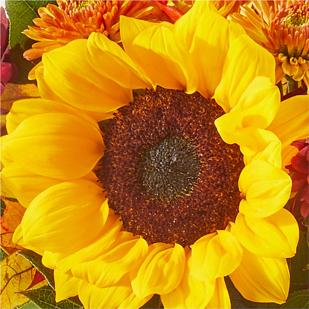Sunny Side Bouquet – WATSON'S FLOWERS AND GIFTS, West Helena AR