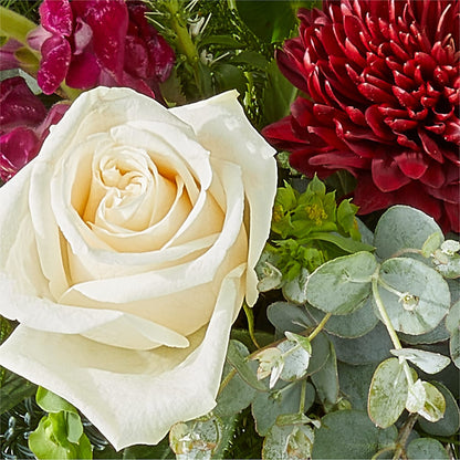 Cranberry Fizz Bouquet – WATSON'S FLOWERS AND GIFTS, West Helena AR