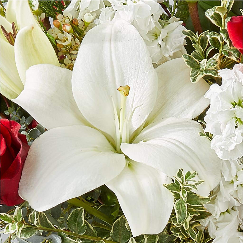 Twinkle Lights Bouquet – WATSON'S FLOWERS AND GIFTS, West Helena AR