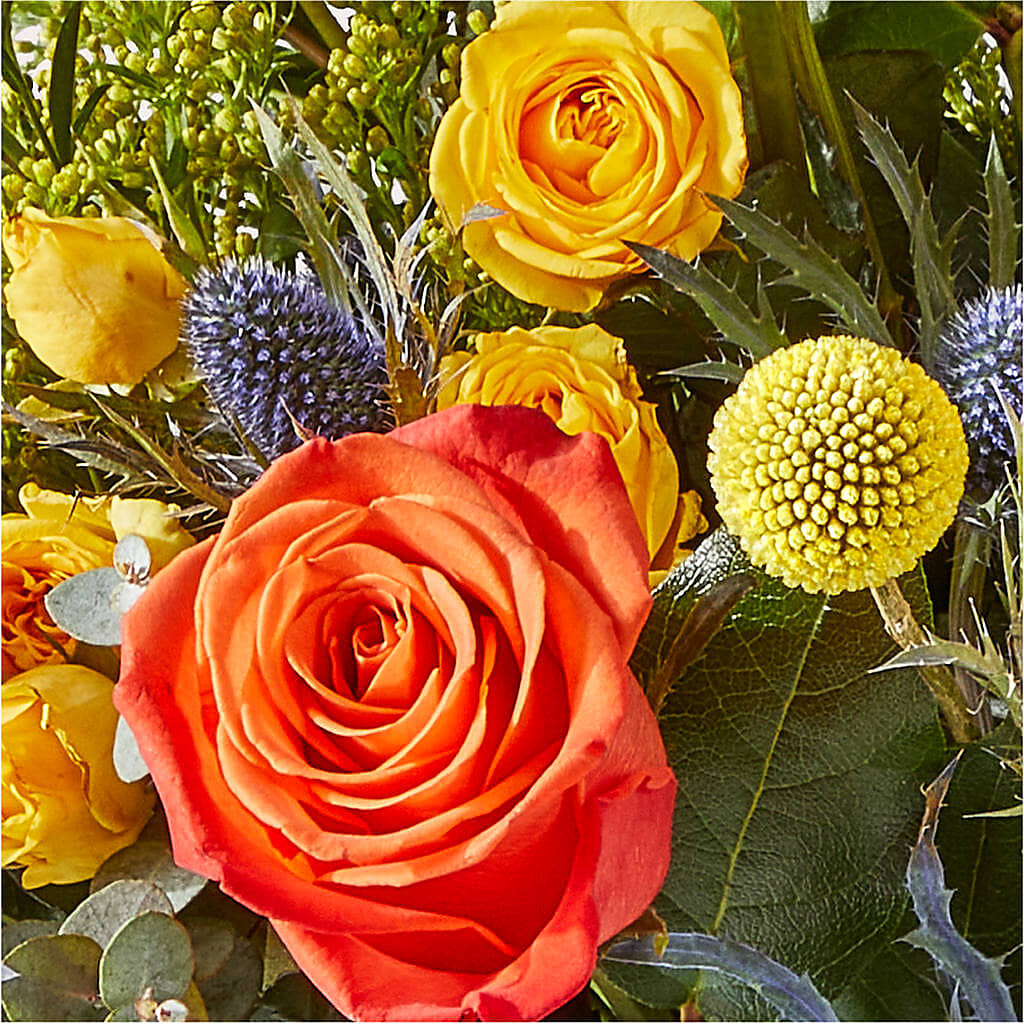 Disco Bouquet – WATSON'S FLOWERS AND GIFTS, West Helena AR