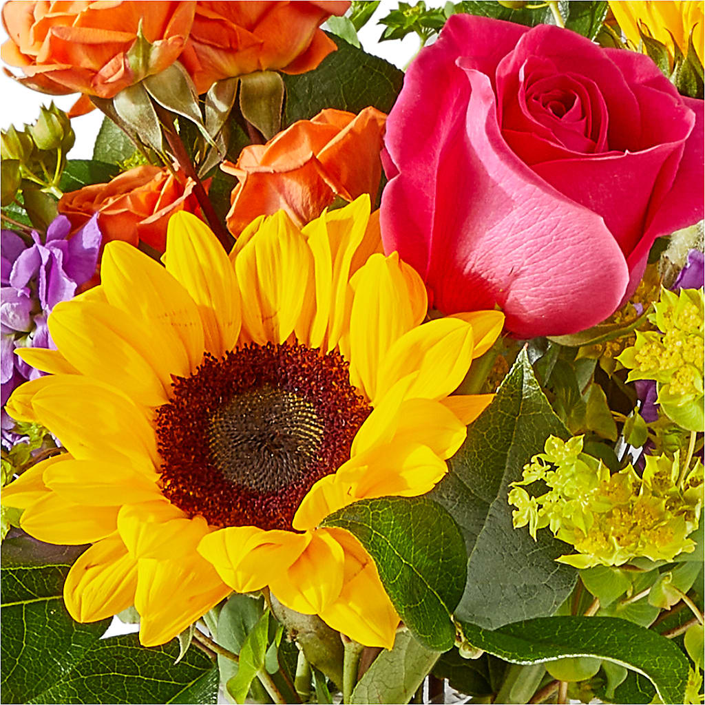 Vibrant Greetings Bouquet – WATSON'S FLOWERS AND GIFTS, West Helena AR