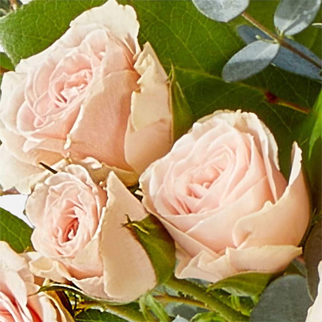 Inspired Bouquet – WATSON'S FLOWERS AND GIFTS, West Helena AR