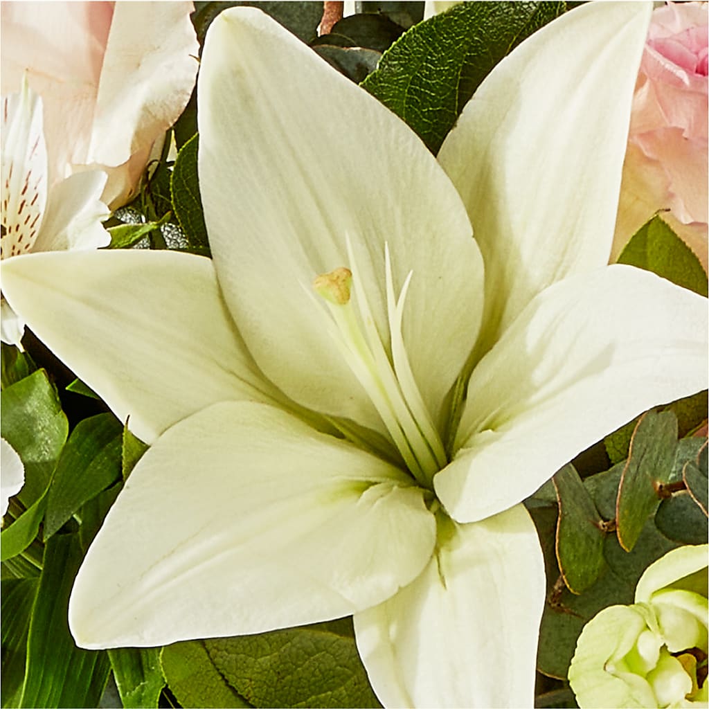 Ballet Slippers Bouquet – WATSON'S FLOWERS AND GIFTS, West Helena AR