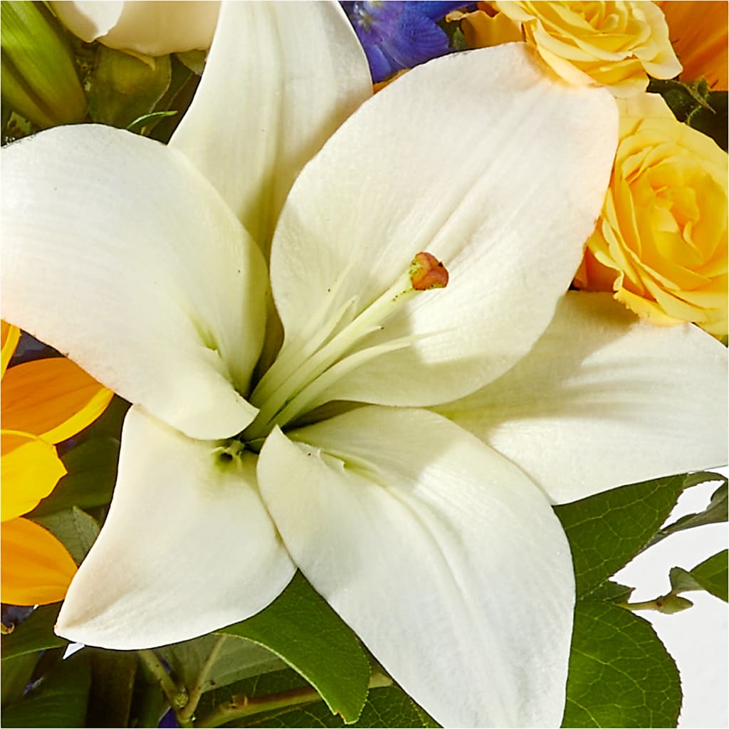Wonderfully Sunny Bouquet – WATSON'S FLOWERS AND GIFTS, West Helena AR