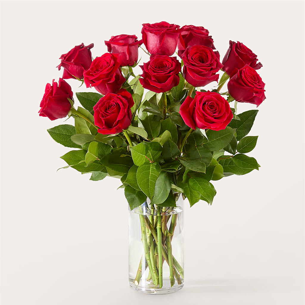 The One Red Rose Bouquet – WATSON'S FLOWERS AND GIFTS, West Helena AR