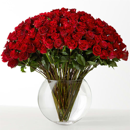 The Idealist – WATSON'S FLOWERS AND GIFTS, West Helena AR