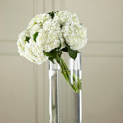 White Hydrangea Hand-Tied Bouquet – WATSON'S FLOWERS AND GIFTS, West Helena AR