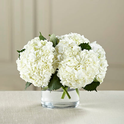 White Hydrangea Bouquet – WATSON'S FLOWERS AND GIFTS, West Helena AR