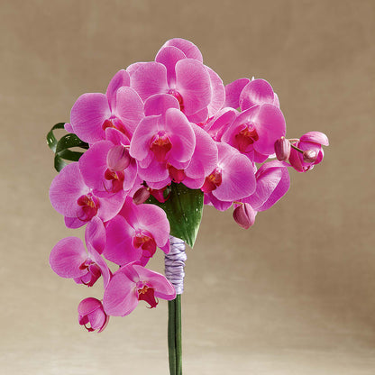 Glorious Bouquet – WATSON'S FLOWERS AND GIFTS, West Helena AR